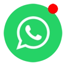 WhatsApp T&M Service